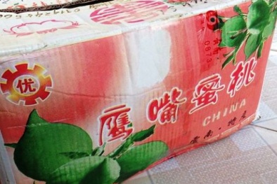 Nhập nhèm đào Trung Quốc đội lốt đào Tây Bắc